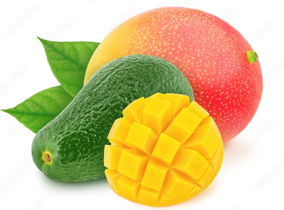 Pěstování manga a avokáda