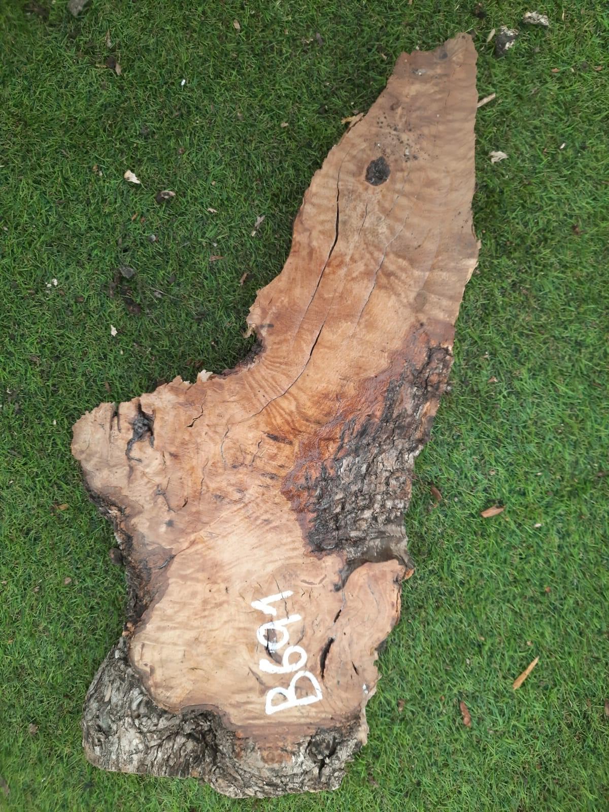 B691 Olivová deska 60x21x8 cm