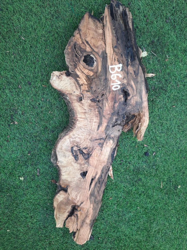 B610 Olivové dřevo 82x26x6 cm