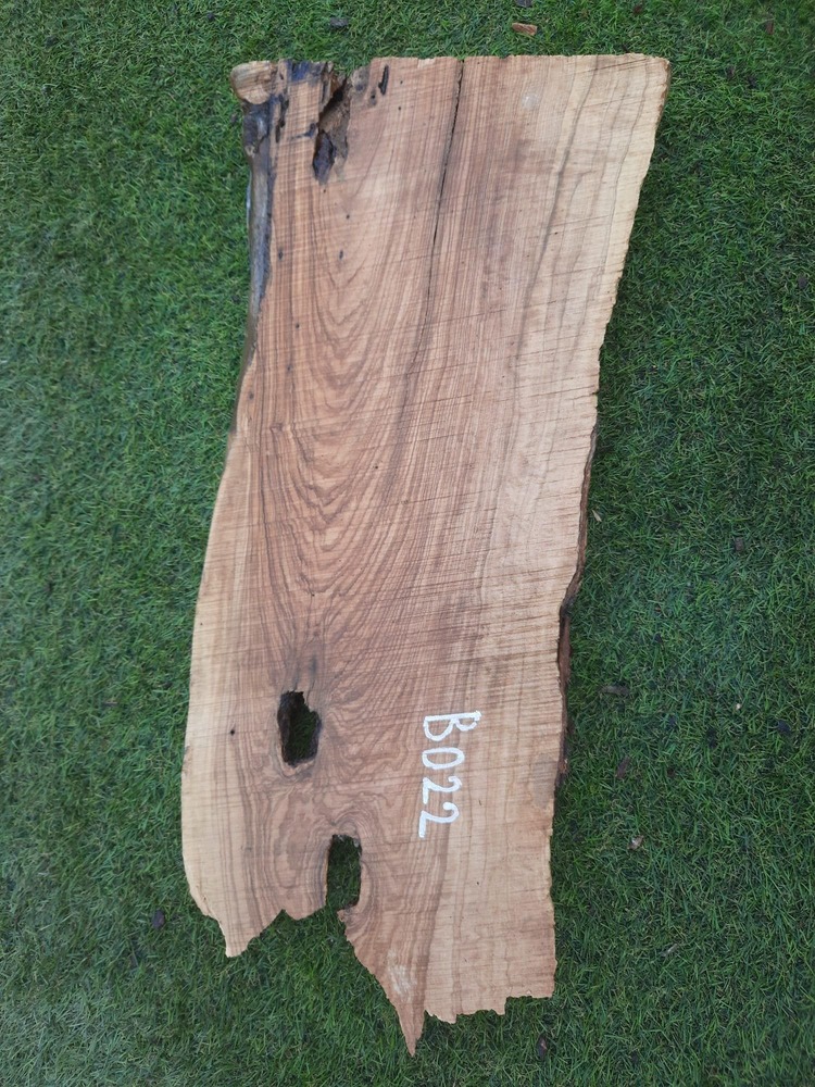 B022 Olivová deska 57x22x1-5 cm