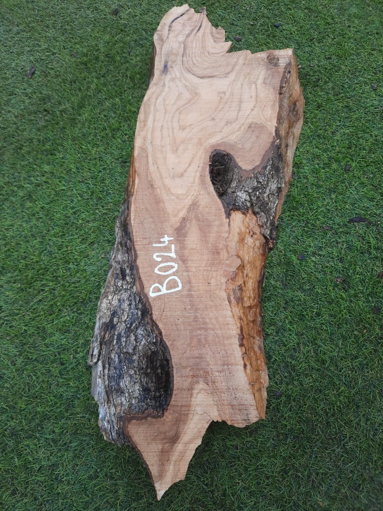 B024 Olivové dřevo 52x14x4,5 cm