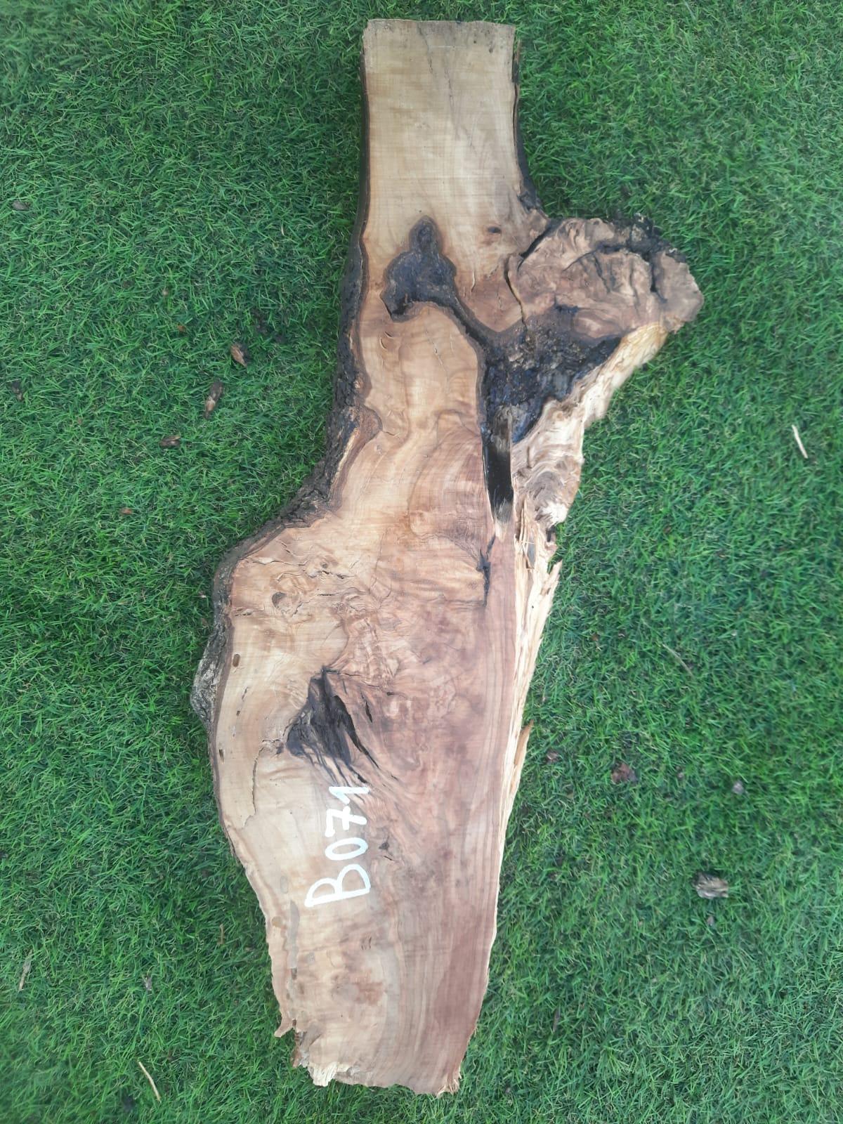 B071 Olivová deska 52x16x4 cm