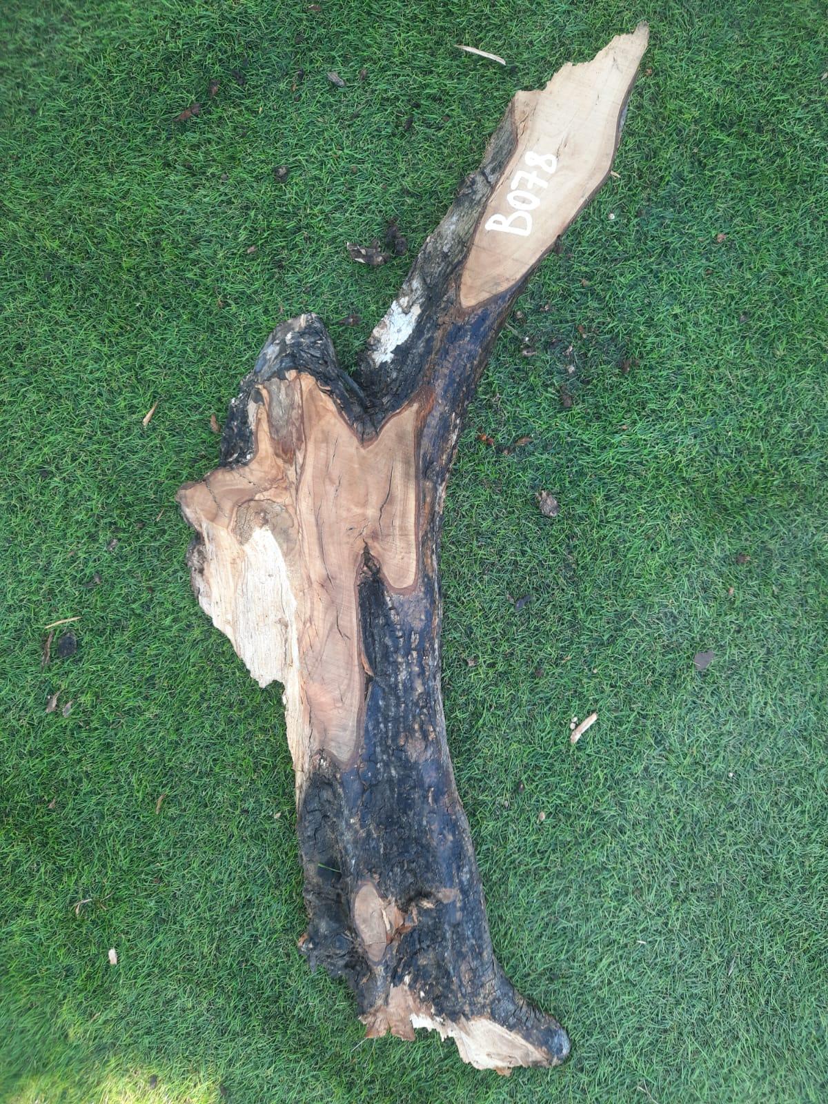 B078 Olivová deska 56x13x6 cm