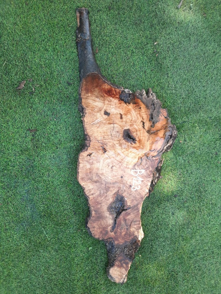 B123 Olivová deska 57x23x4 cm