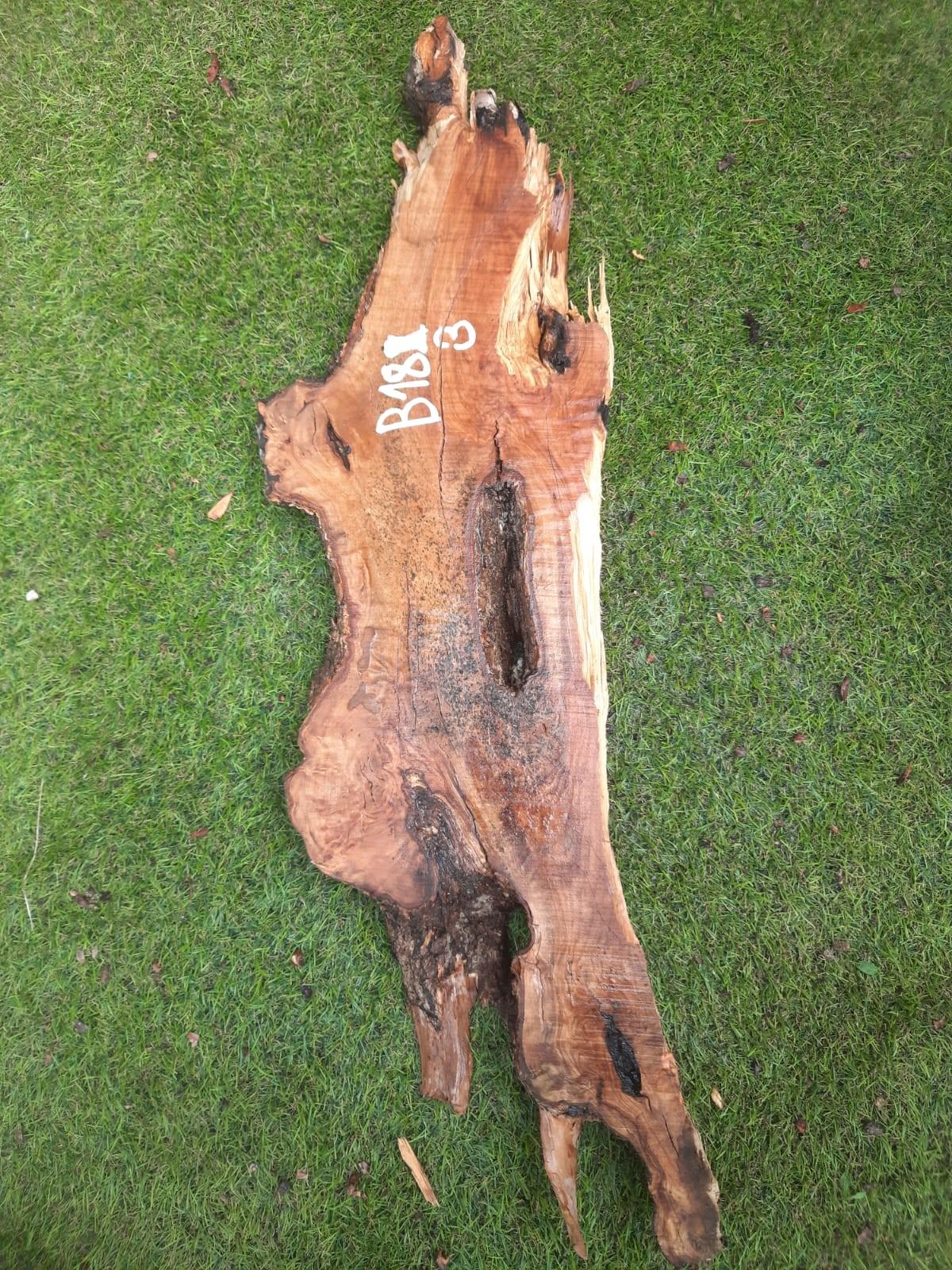 B183 Olivová deska 50x15x4,5 cm