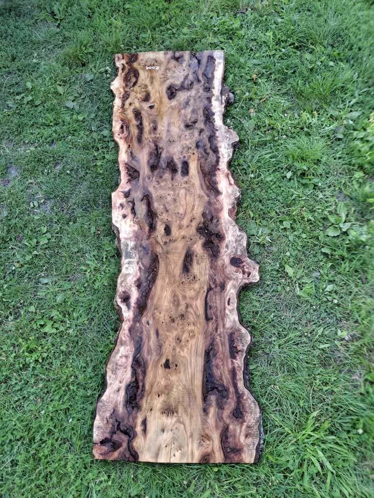 Z009 Jilm očkatý 225x32x5 cm