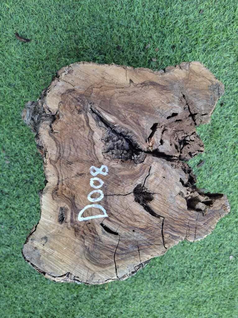 D008 Olivový špalek 21x16x15 cm