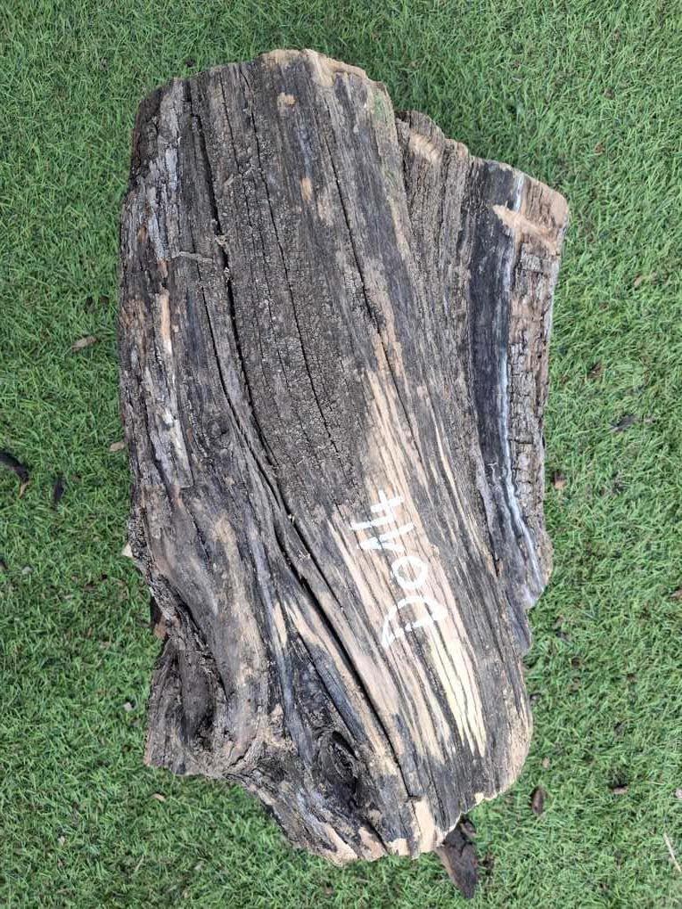 D014 Olivový špalek 24x21x20 cm