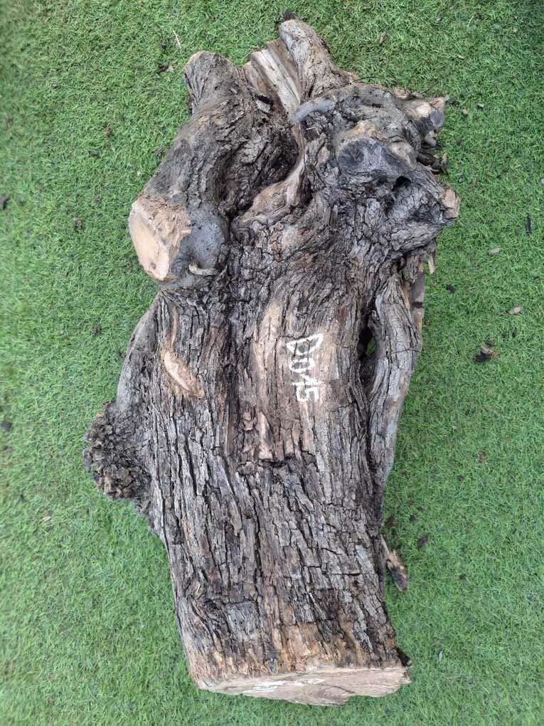 D015 Olivový špalek 55x21x20 cm