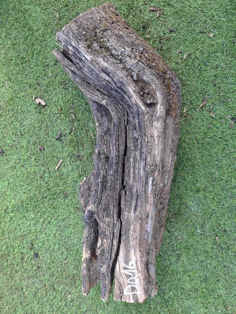 D016 Olivový špalek 56x19x14 cm