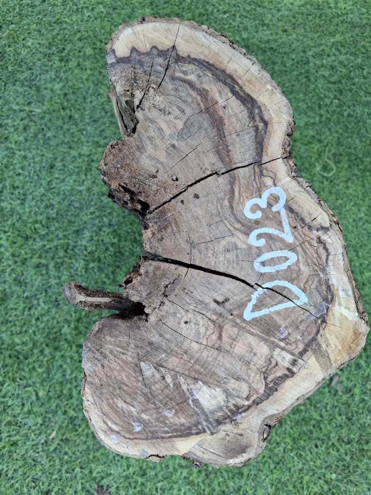 D023 Olivový špalek 38x30x10 cm