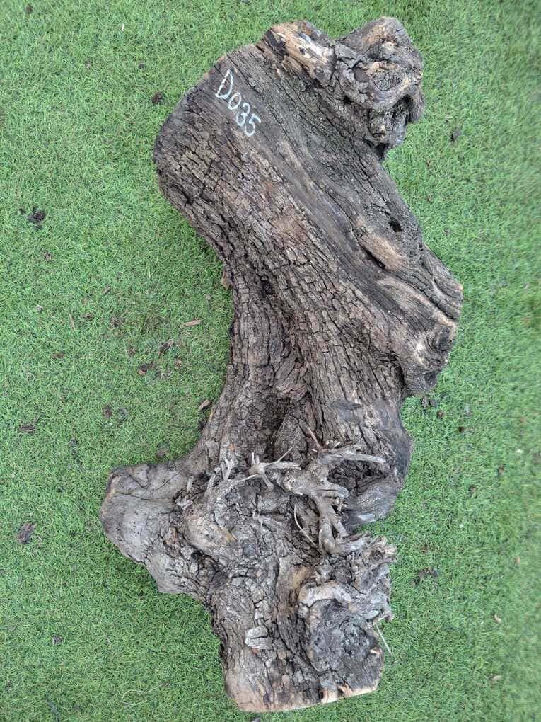 D035 Olivový špalek 61x30x11 cm