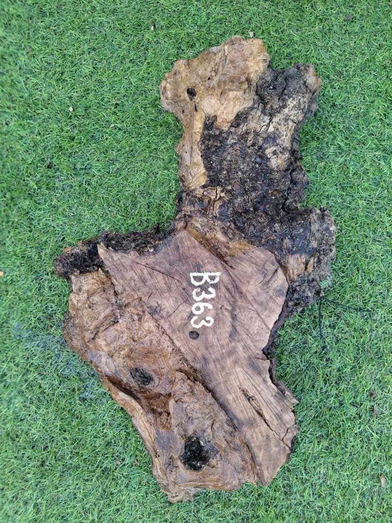 B363 Olivová deska 40x13x5-7 cm