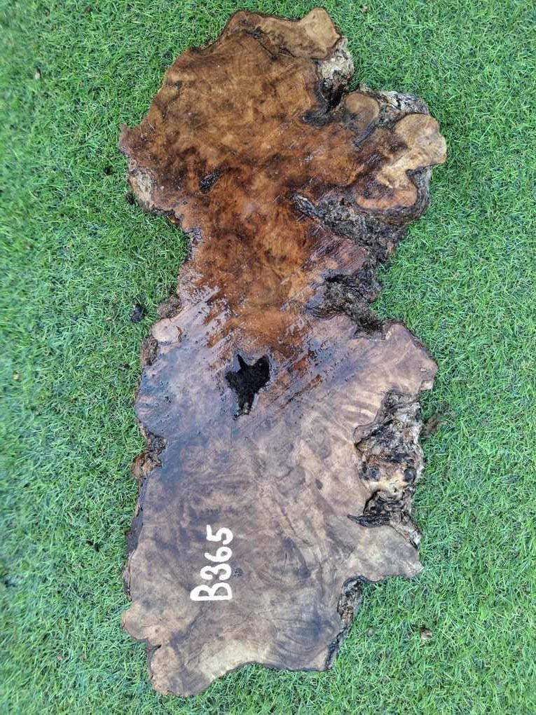 B365 Olivová deska 41x14x6 cm