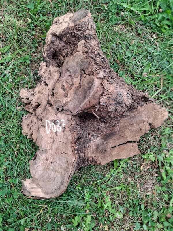 D037 Olivový odřezek 26x20x5 cm