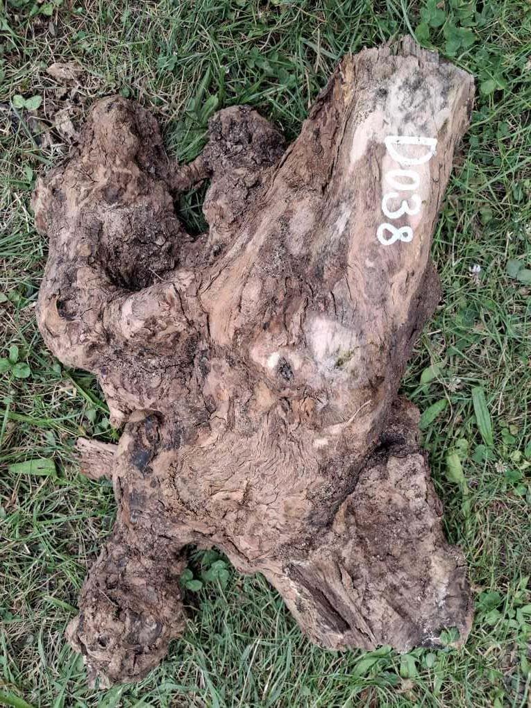 D038 Olivový odřezek 25x14x14 cm