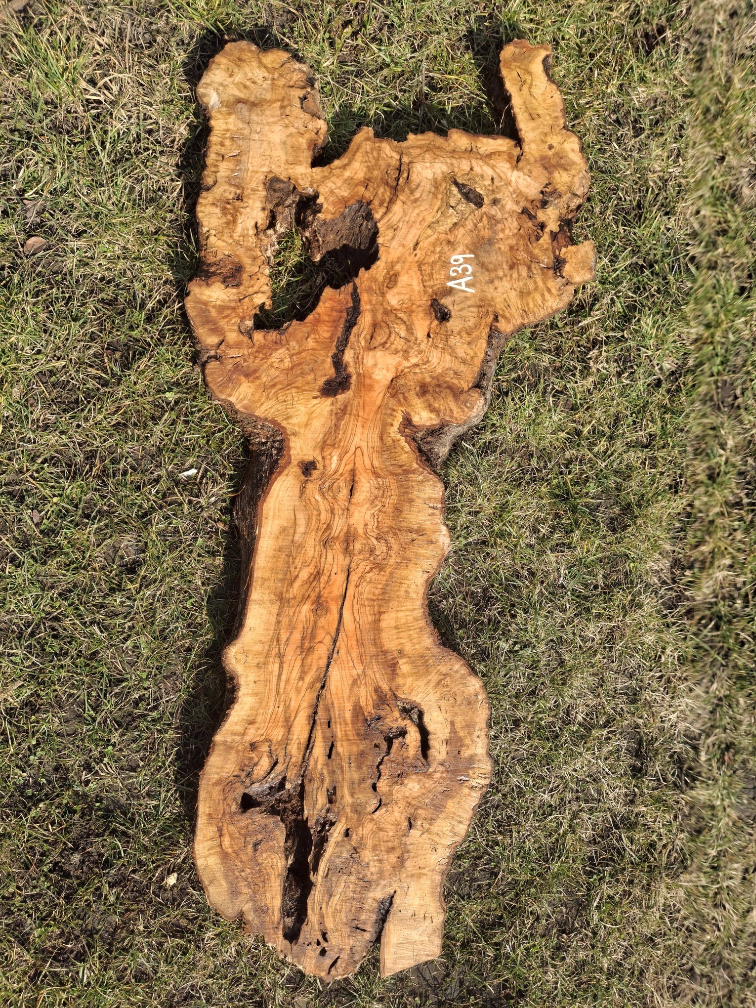 A039 Olivové deska 112x27x6,5 cm
