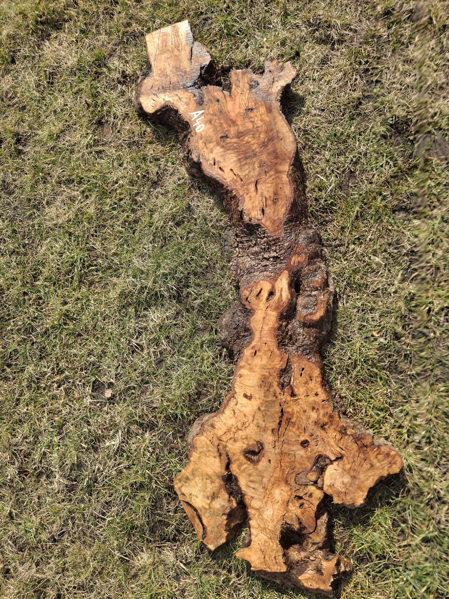 A040 Olivové dřevo 120x21x6 cm