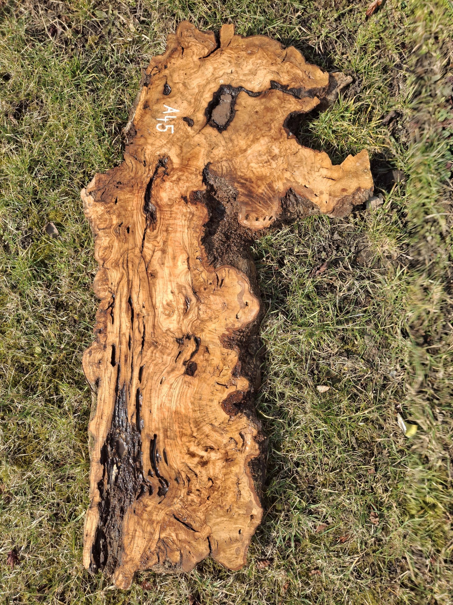 A045 Olivová deska 113x33x6 cm