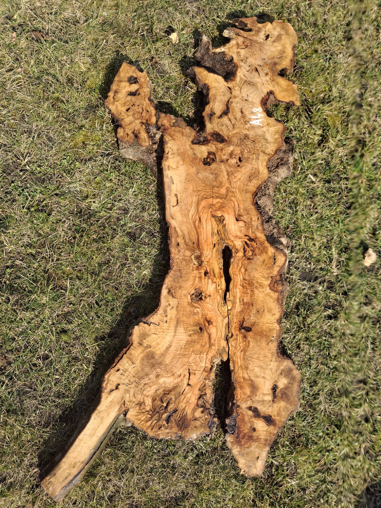 A048 Olivové dřevo 116x34x6 cm