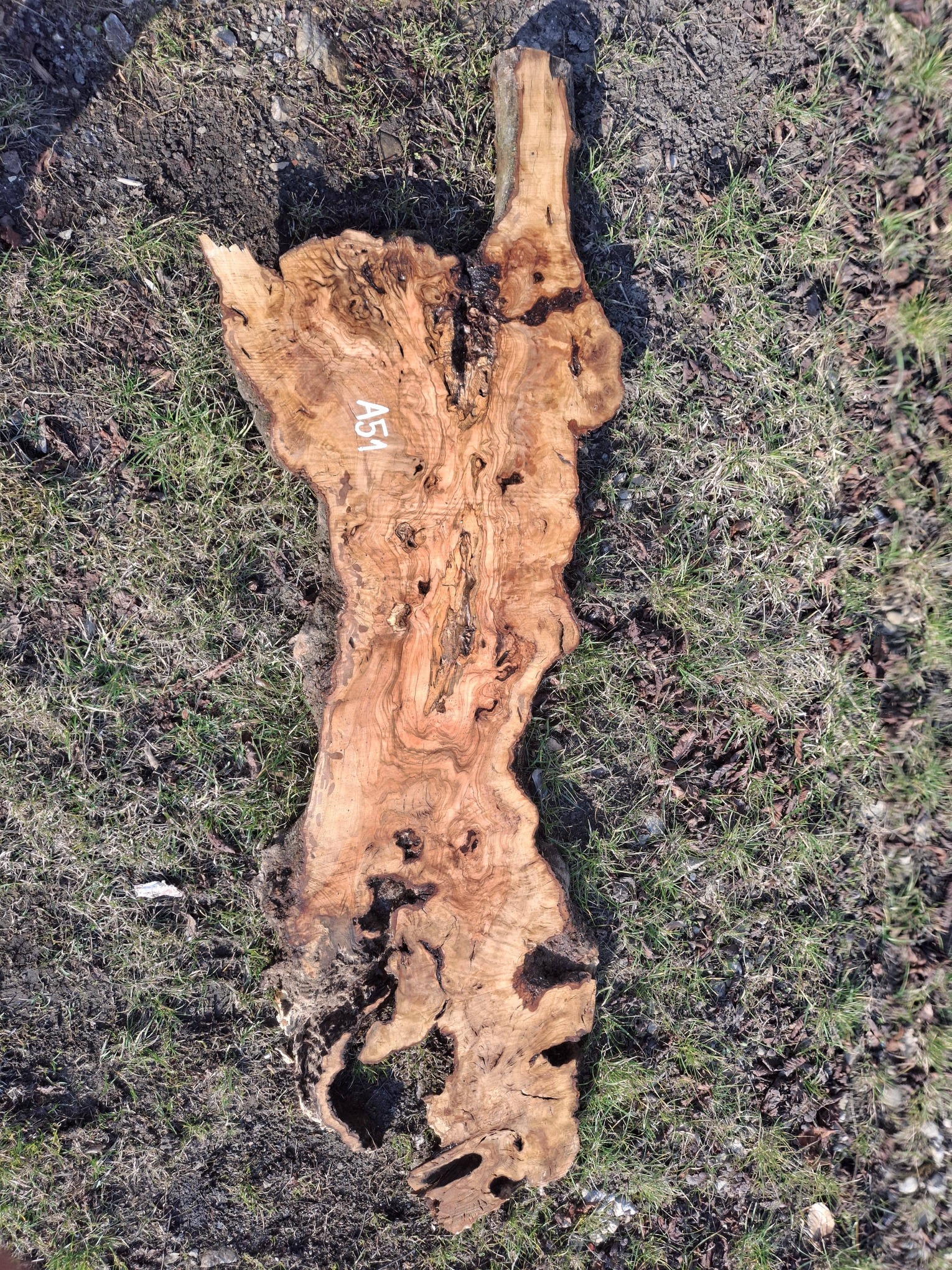 A051 Olivová deska 112x30x6 cm