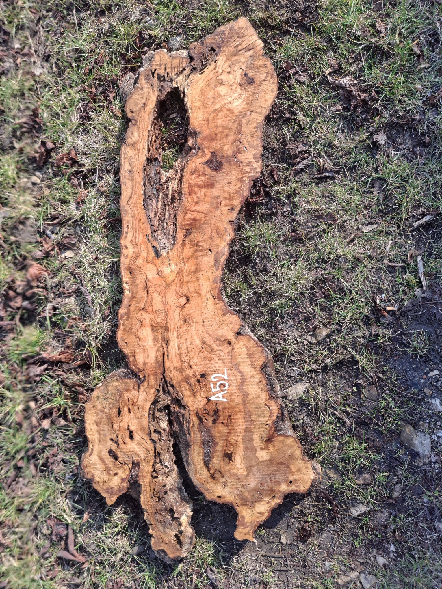 A052 Olivové dřevo 116x25x6 cm