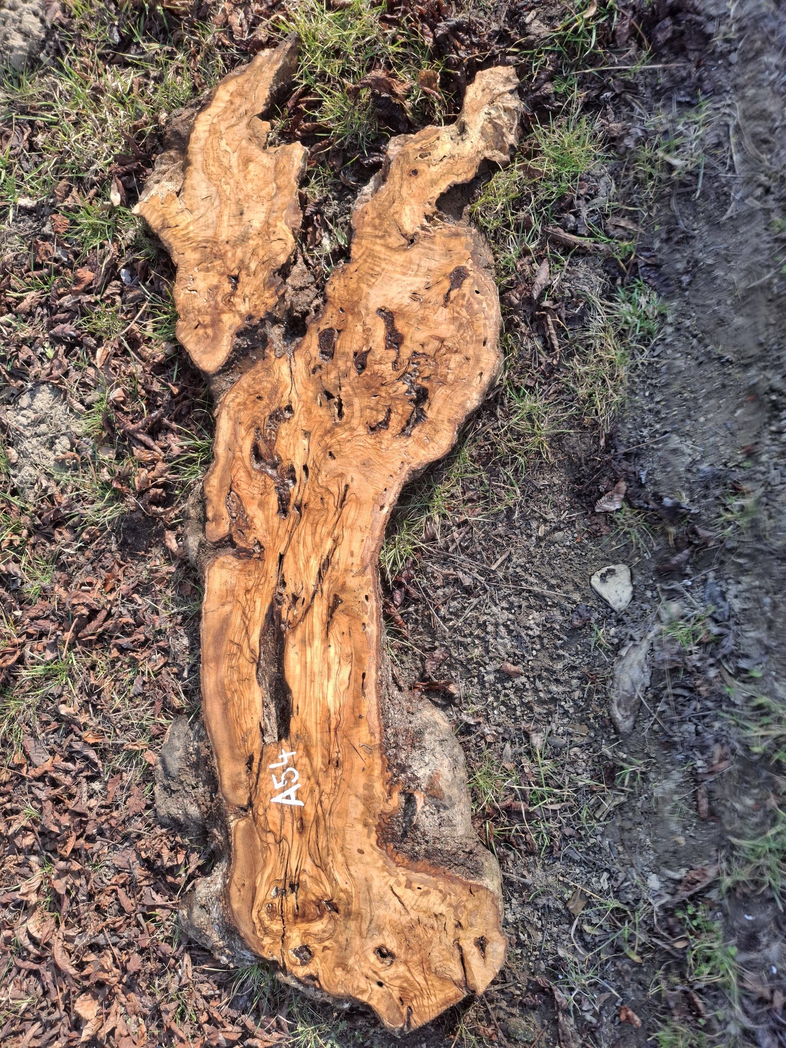 A054 Olivové dřevo 118x27x7,5-5 cm