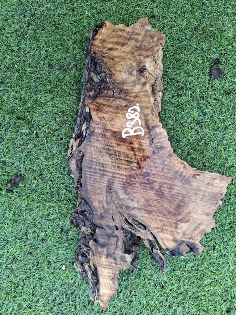 B382 Olivové dřevo 31x9x4 cm