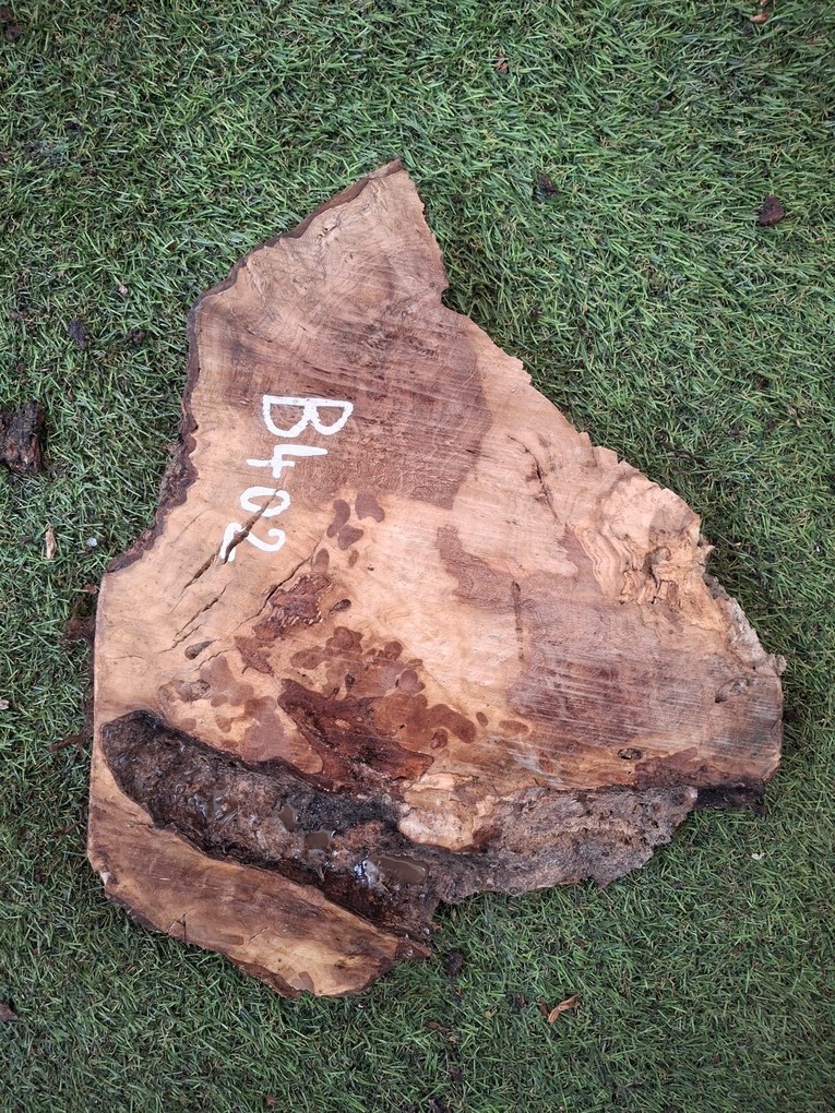 B402 Olivové dřevo 27x19x4,5 cm