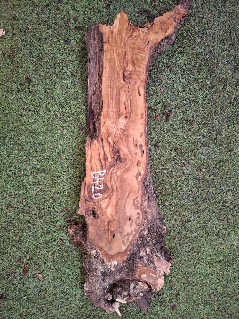 B420 Olivové dřevo 61x15x4,5 cm
