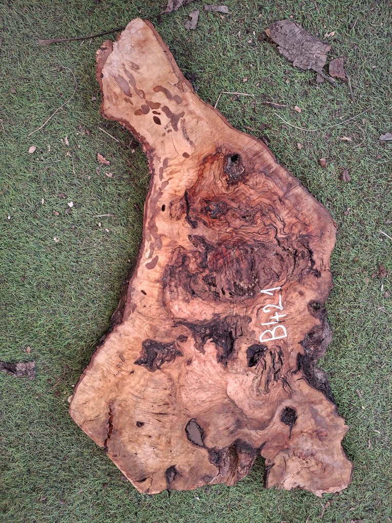 B421 Olivová deska 48x28x4 cm