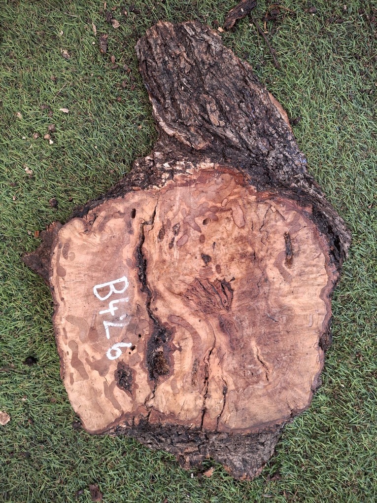 B426 Olivové dřevo 25x22x4,5 cm