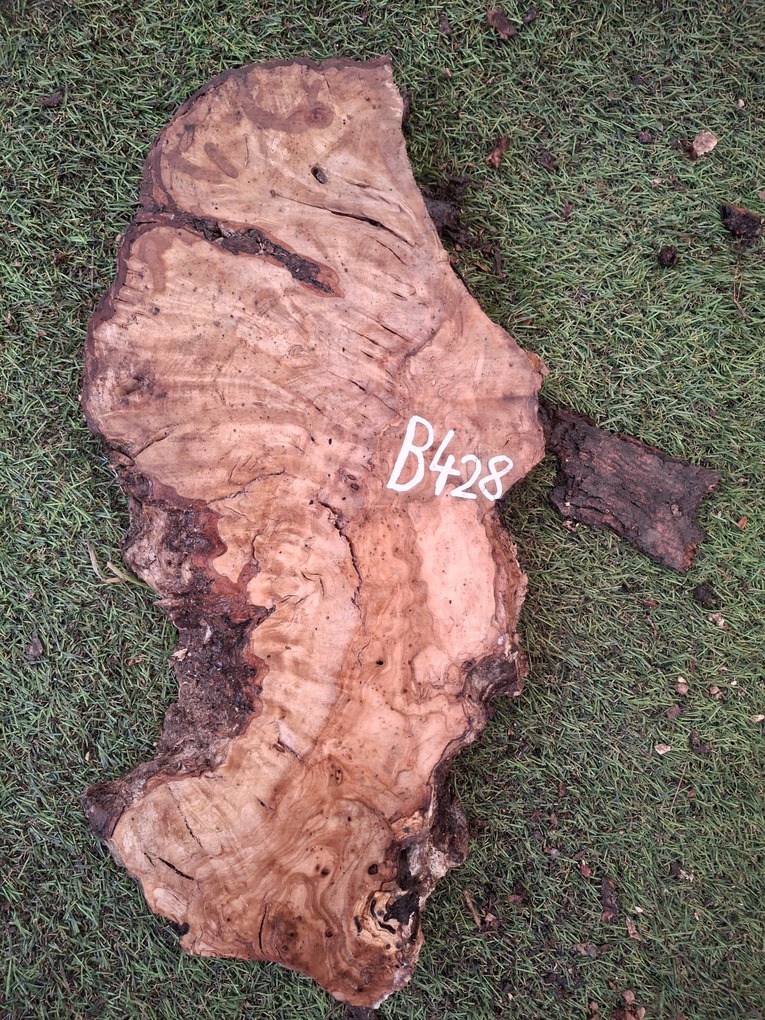 B428 Olivové dřevo 44x14x4,5 cm