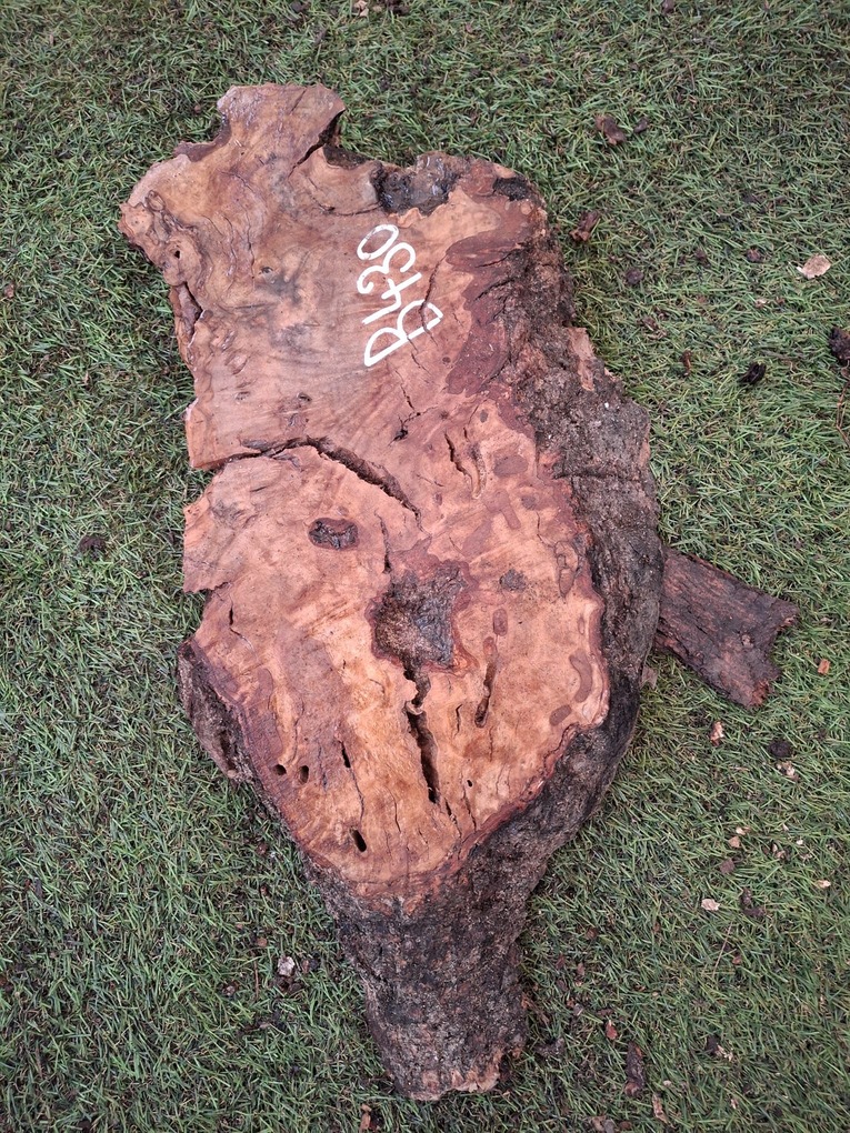 B430 Olivové dřevo 33x16x4,5 cm