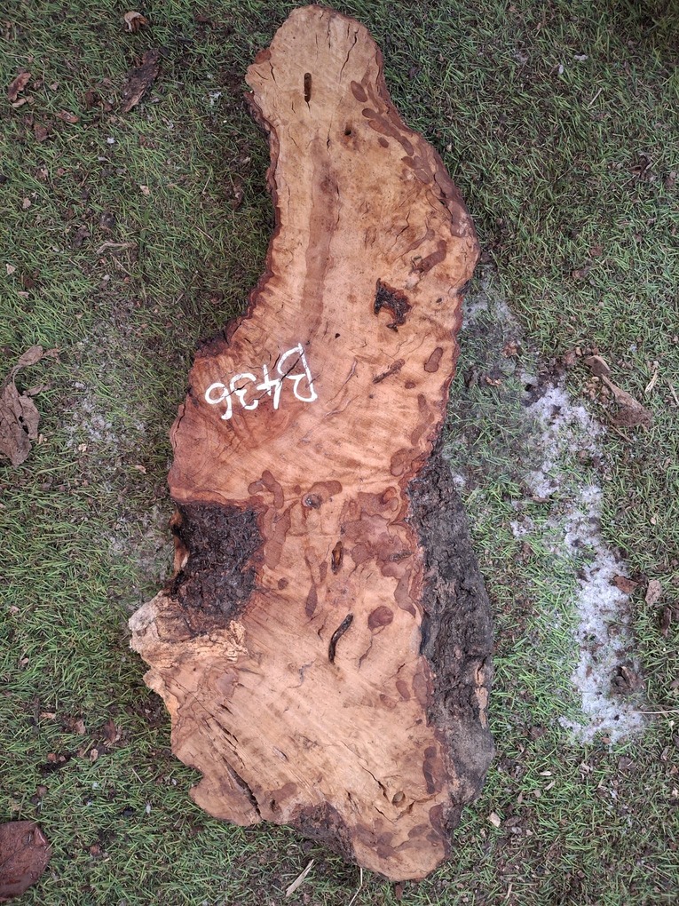 B436 Olivové dřevo 52x14x4,5 cm