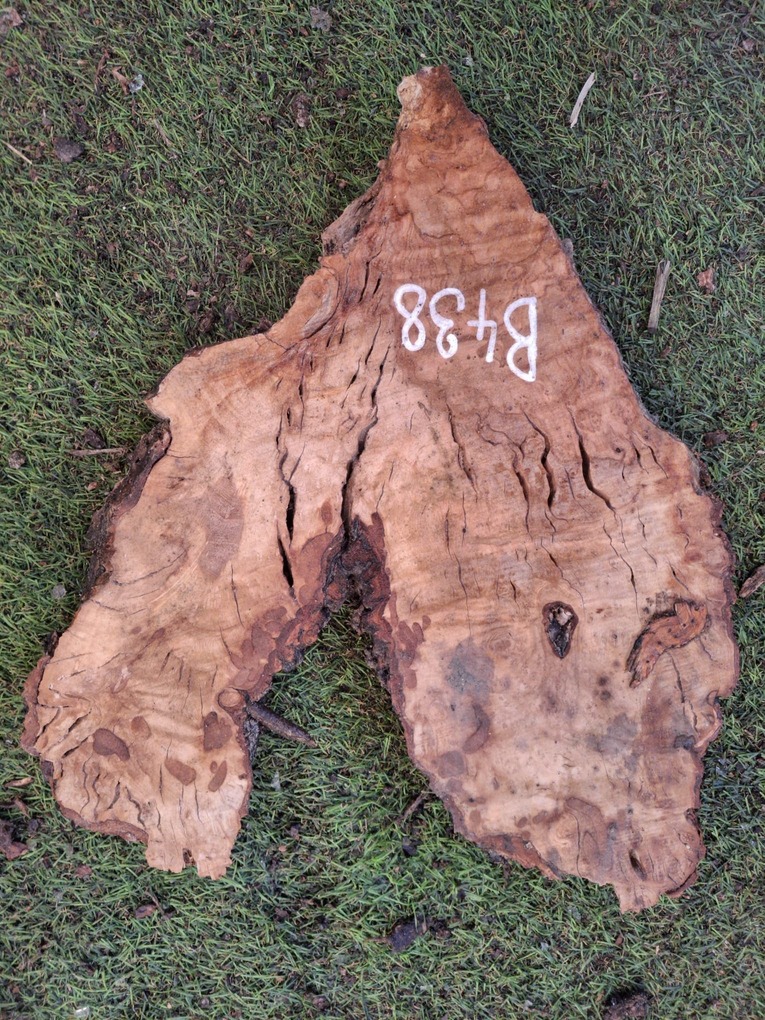 B438 Olivové dřevo 30x19x5 cm