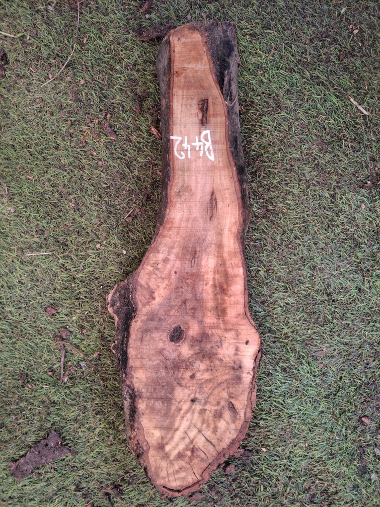 B442 Olivové dřevo 51x11x4 cm