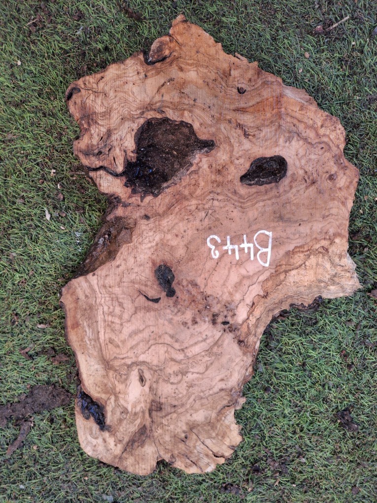 B443 Olivová deska 46x18x4,5 cm