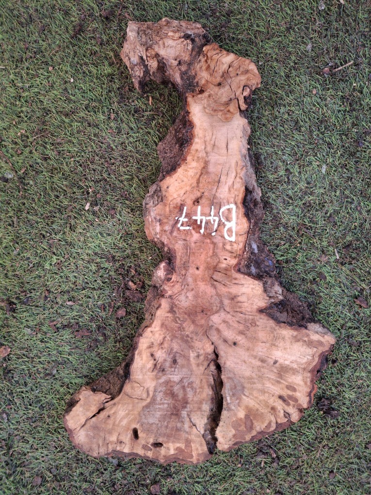 B447 Olivová deska 43x13x4,5 cm