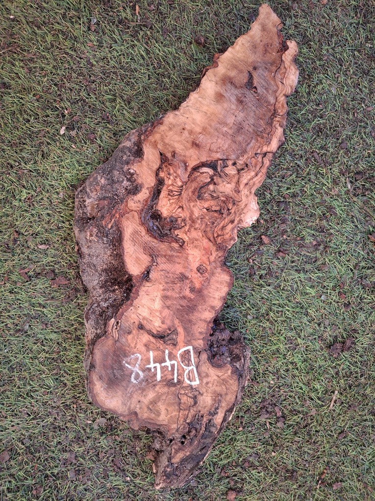 B448 Olivové dřevo 41x14x4,5 cm