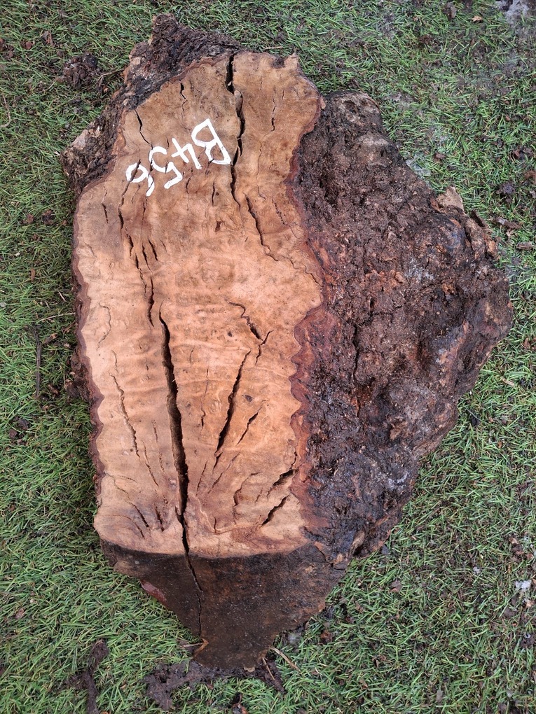 B456 Olivové dřevo 38x25x5 cm