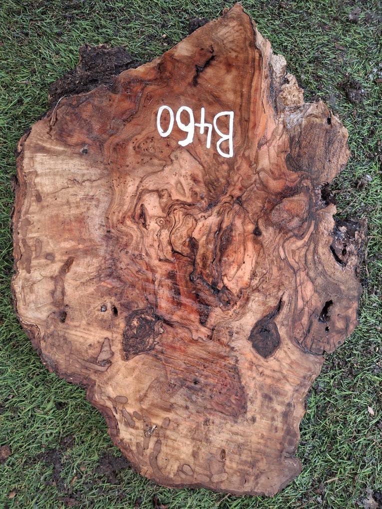 B460 Olivové dřevo 34x25x4,5 cm