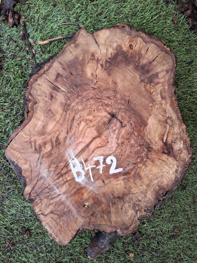 B472 Olivové dřevo 25x22x4,5 cm