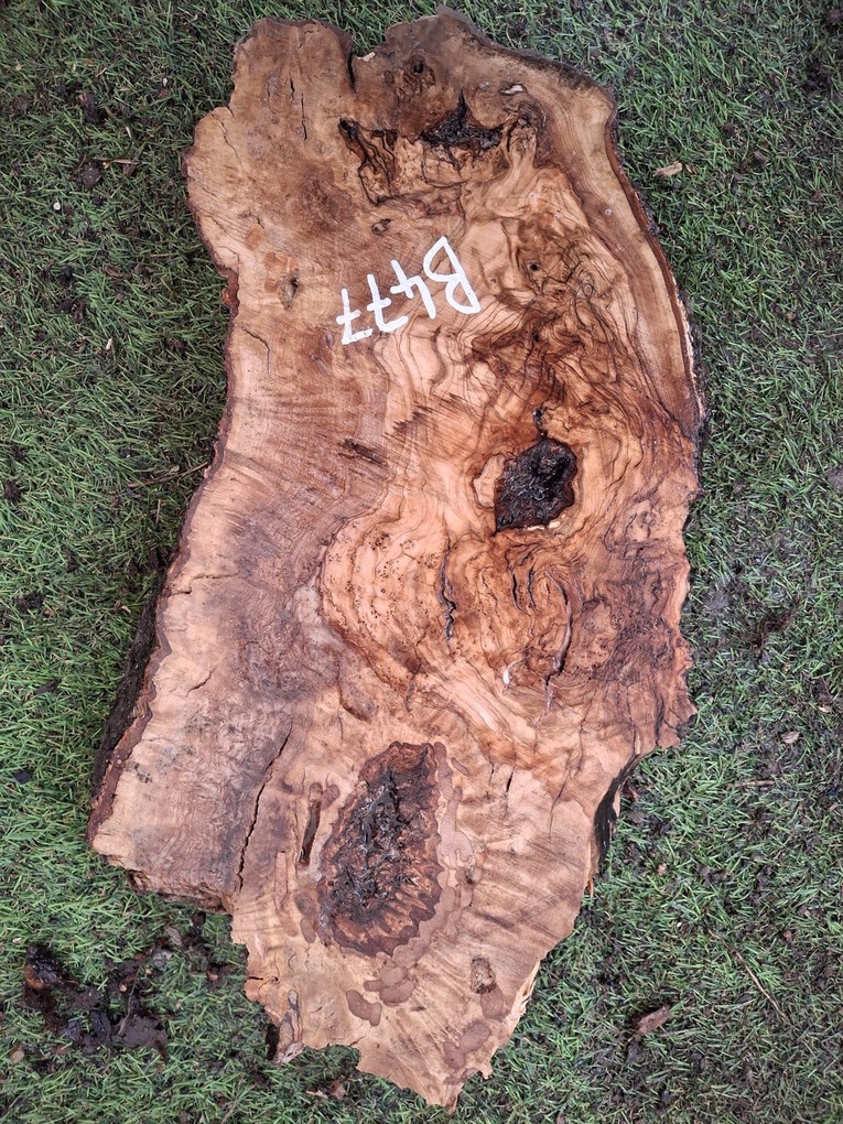 B477 Olivová deska 39x23x5 cm