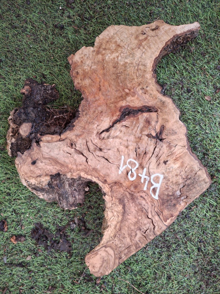 B481 Olivová deska 27x13x4,5 cm