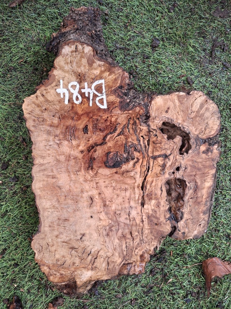 B484 Olivové dřevo 23x23x4,5 cm