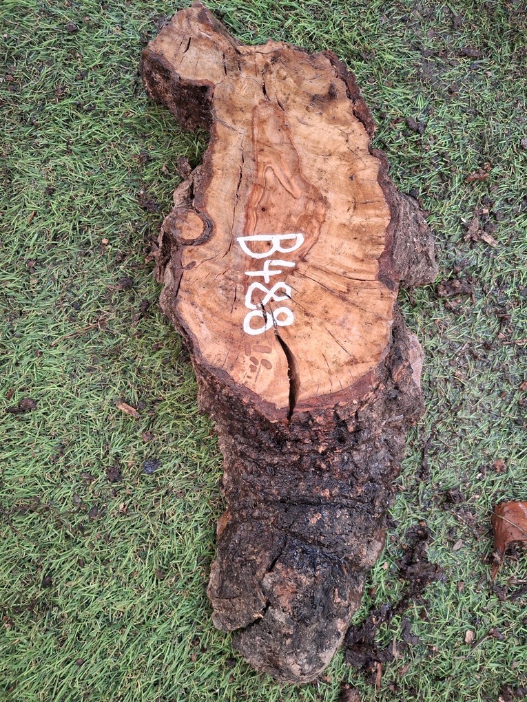 B488 Olivové dřevo 31x12x4,5 cm