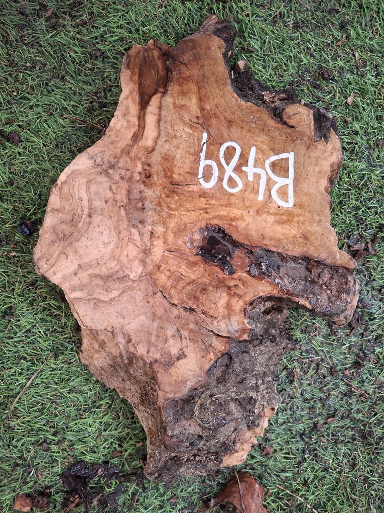 B489 Olivová deska 25x13x4,5 cm