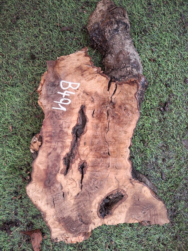 B491 Olivová deska 24x13x6 cm