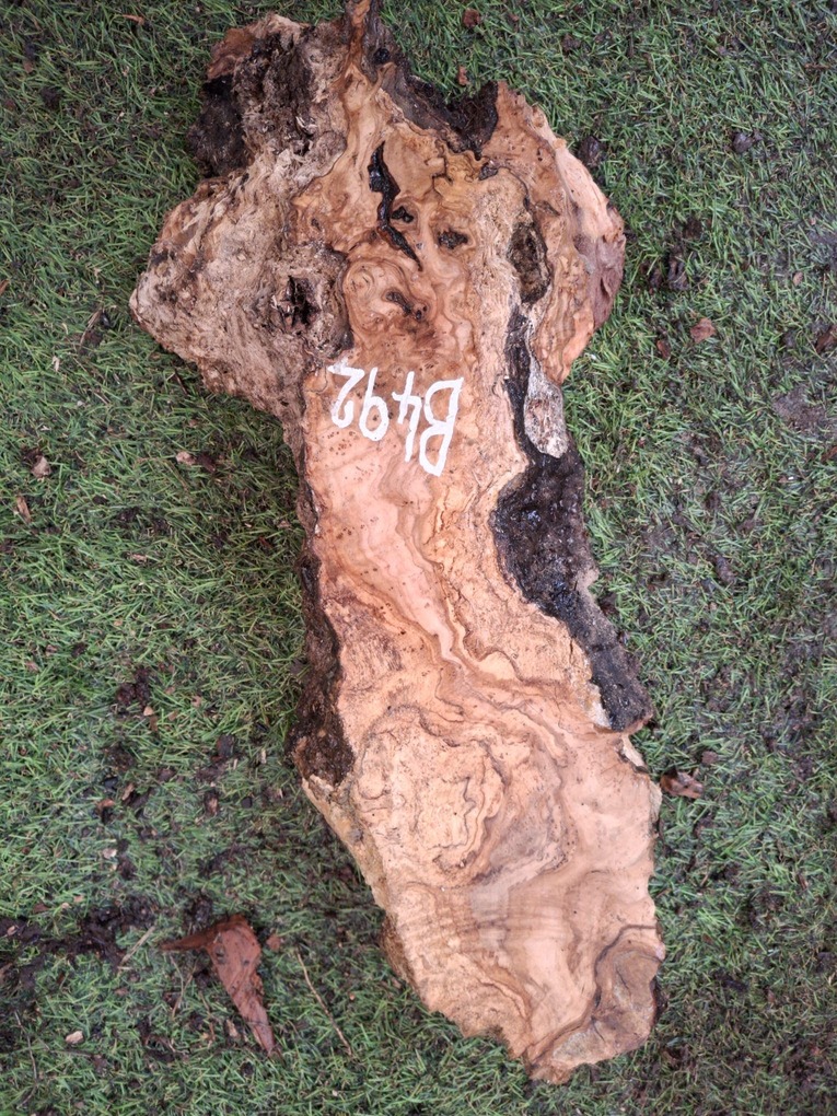 B492 Olivové dřevo 39x8x6,5 cm